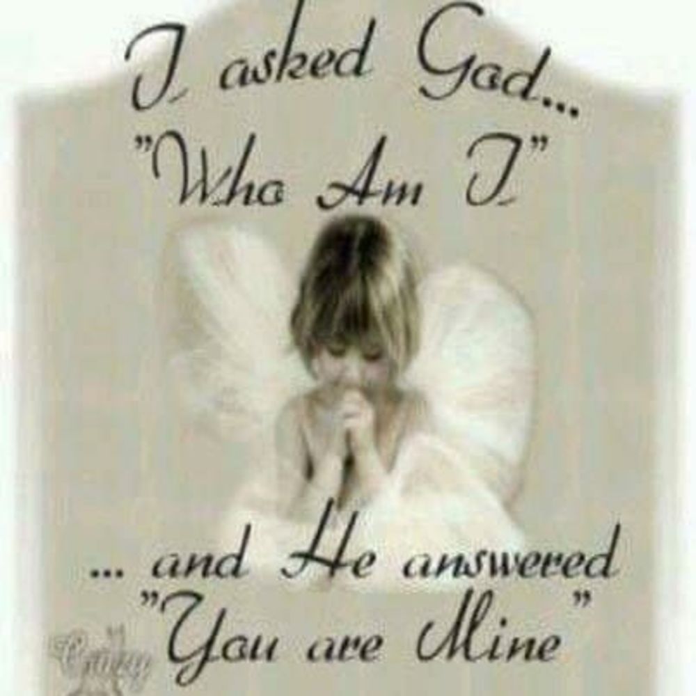 Meet your Posher, Paulette